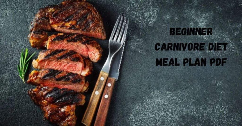 Beginner Carnivore Diet Meal Plan PDF