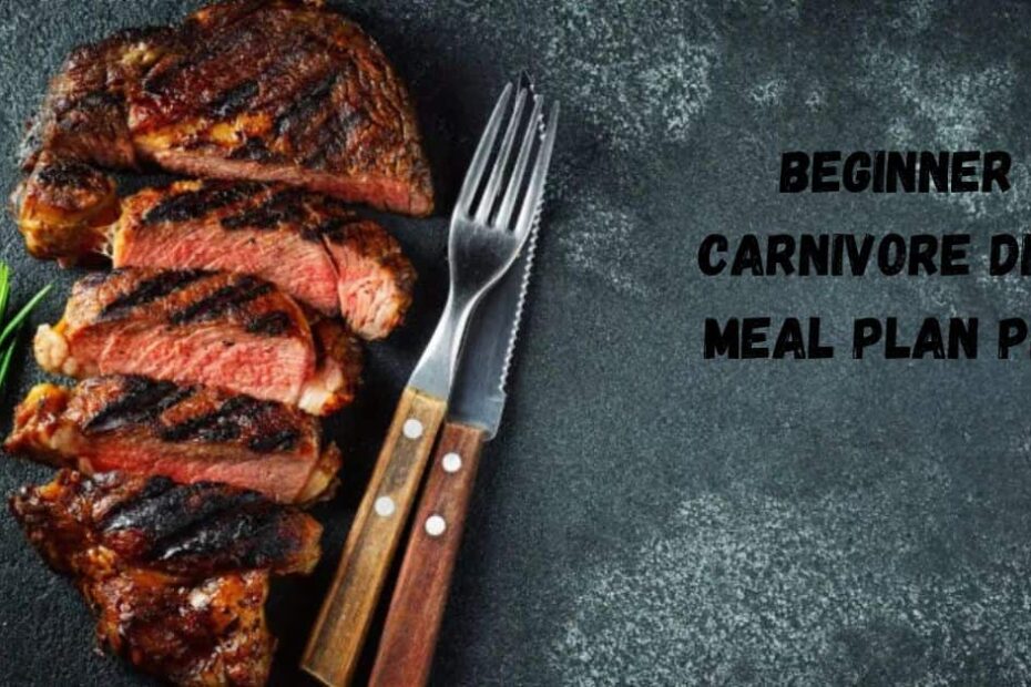 Beginner Carnivore Diet Meal Plan PDF